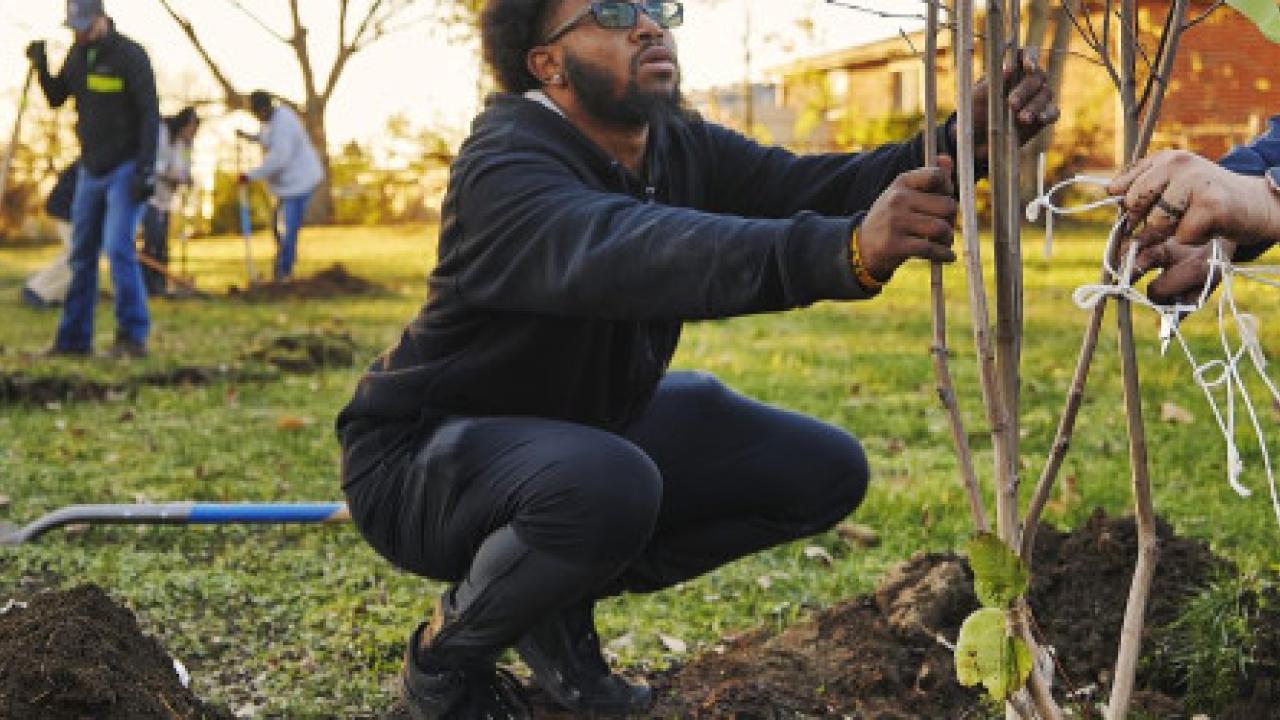 People planting trees outdoors.