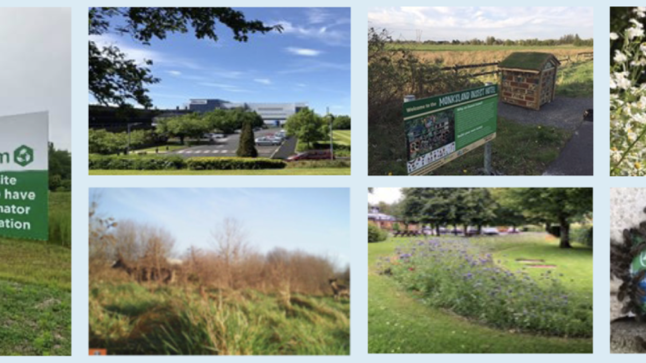 composite of several natural locations with Alkermes signage