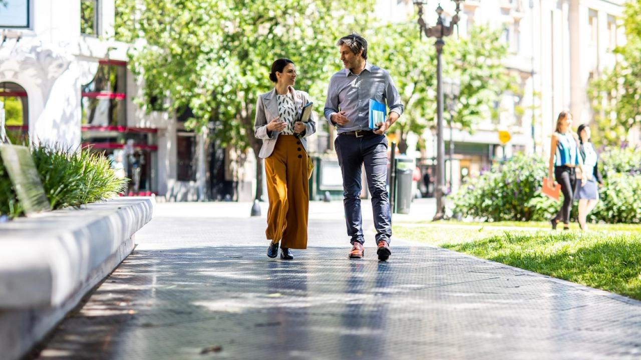 Sustainability Professionals
