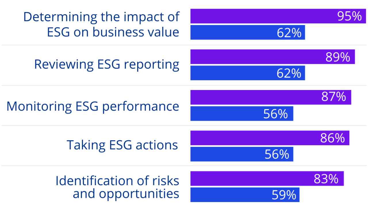 Chart: Areas of moderate to extensive board responsibility