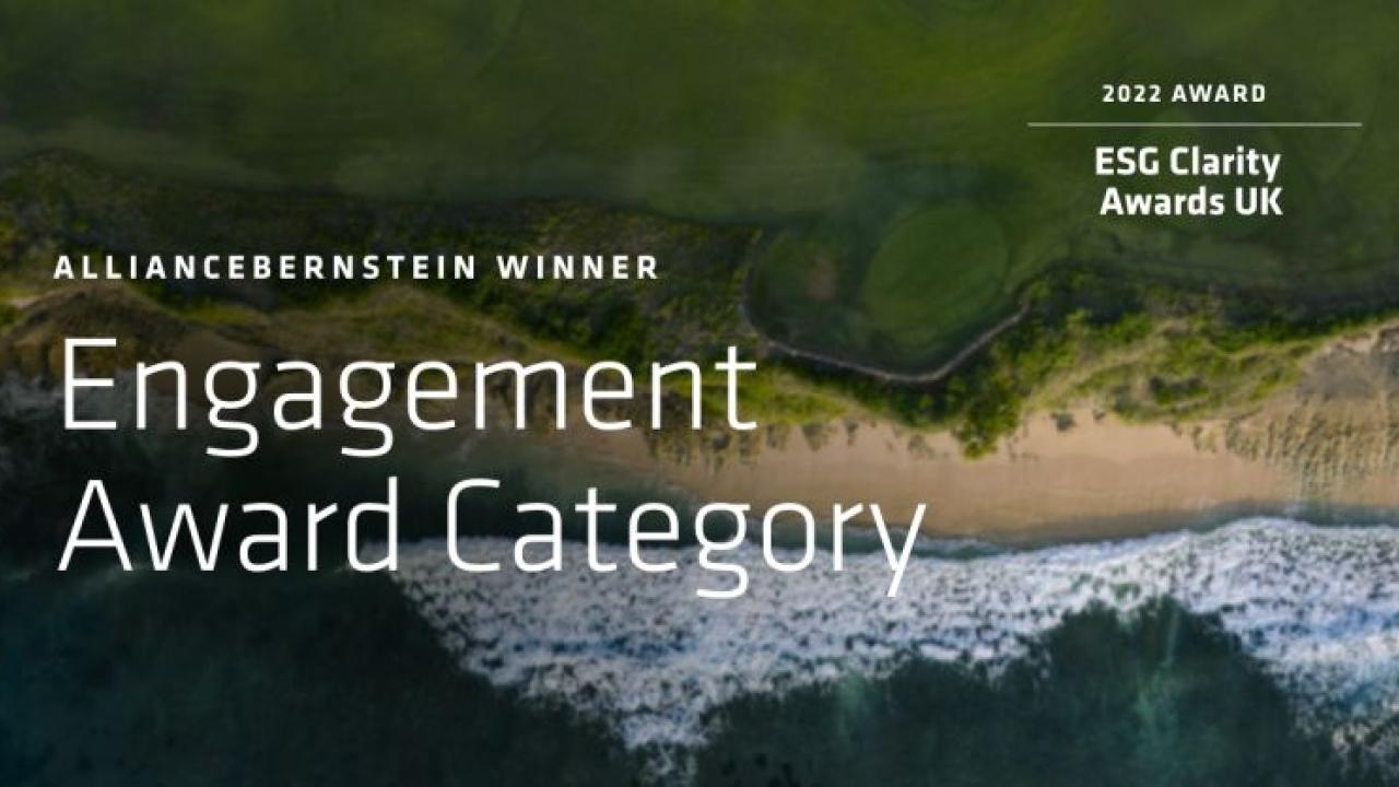 aerial view of a beach "alliancebernstein engagement award category" and "ESG clarity awards UK"