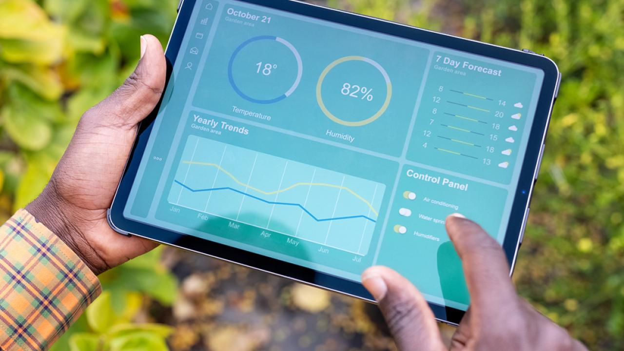 A person using an electronic tablet, a field of crops beneath them. 