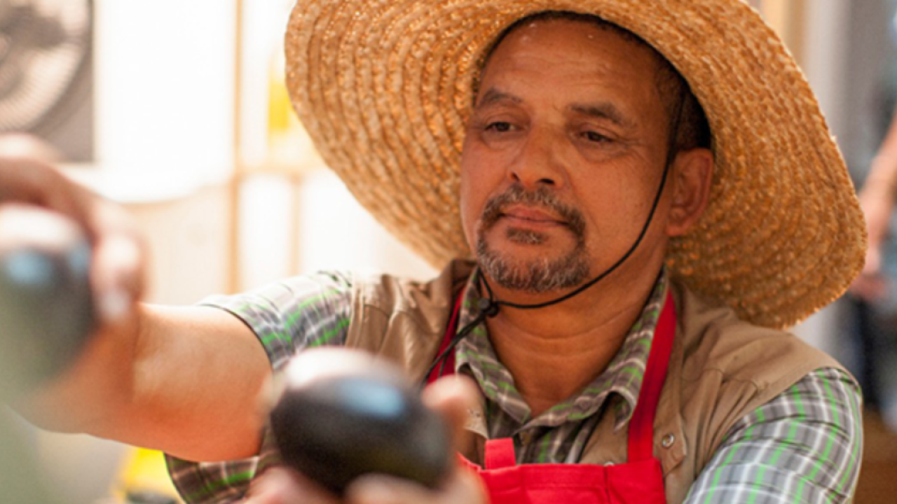 A person in a large straw hat picking fruit