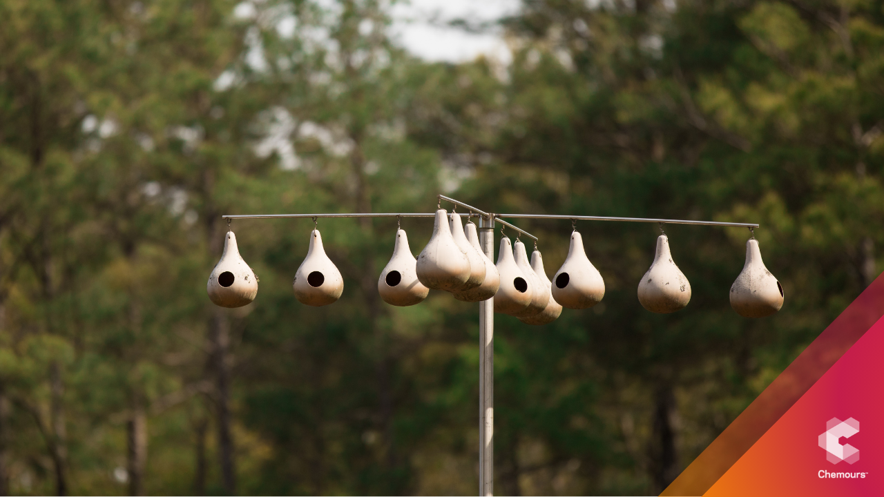 bird houses