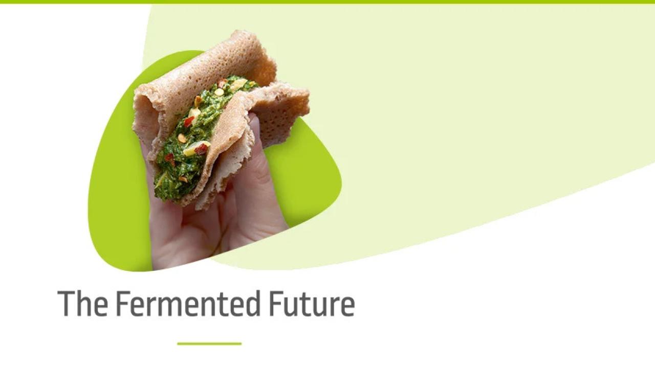 "The Fermented Future" and a hand holding a sandwich.