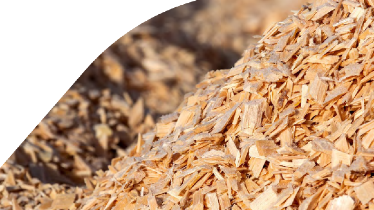 Close up of a pile of wood shavings