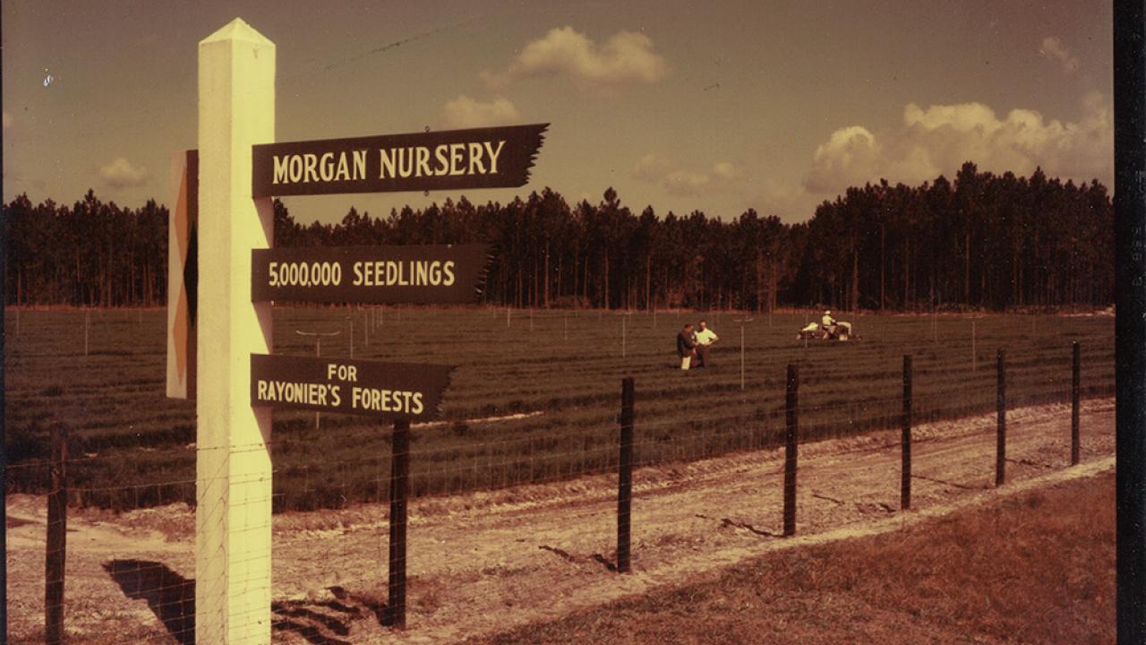 Old sepia tone photo of Morgan Nursery