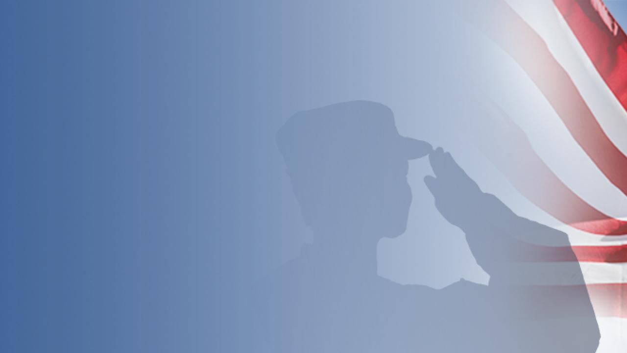 American flag with shadow of veteran