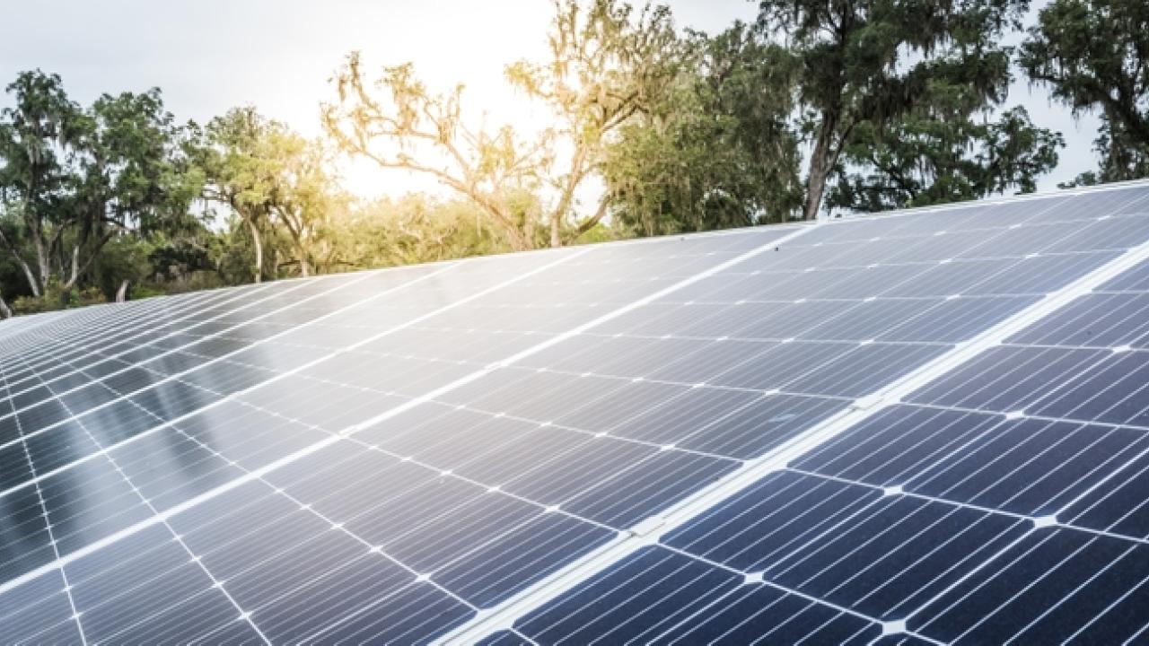 Solar panels in front of trees and a sunset