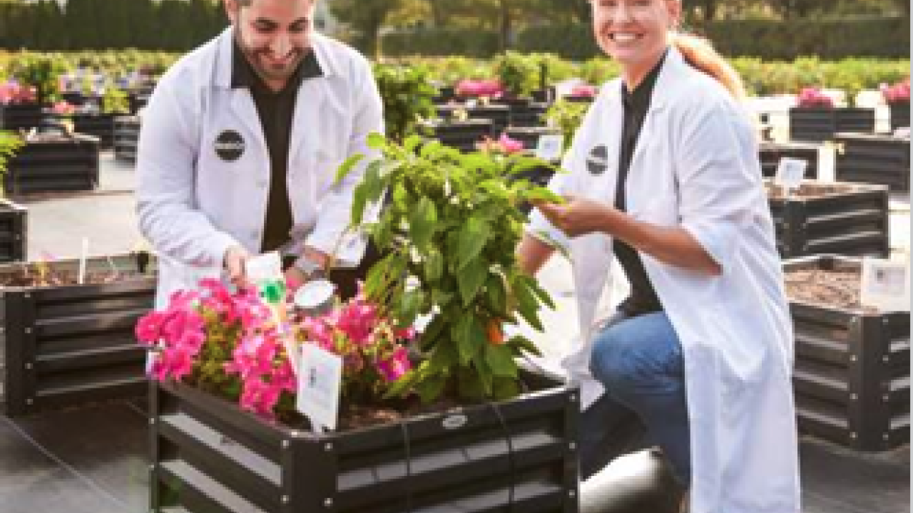 2 People potting plants
