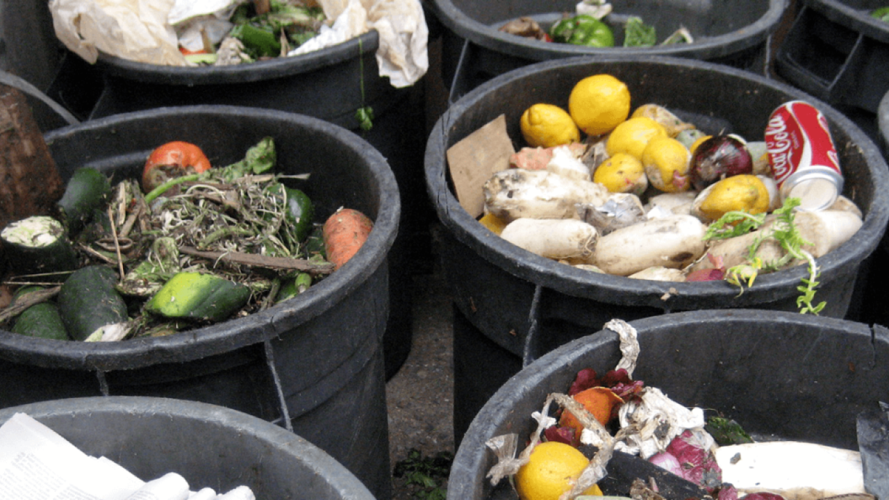 Buckets of food waste