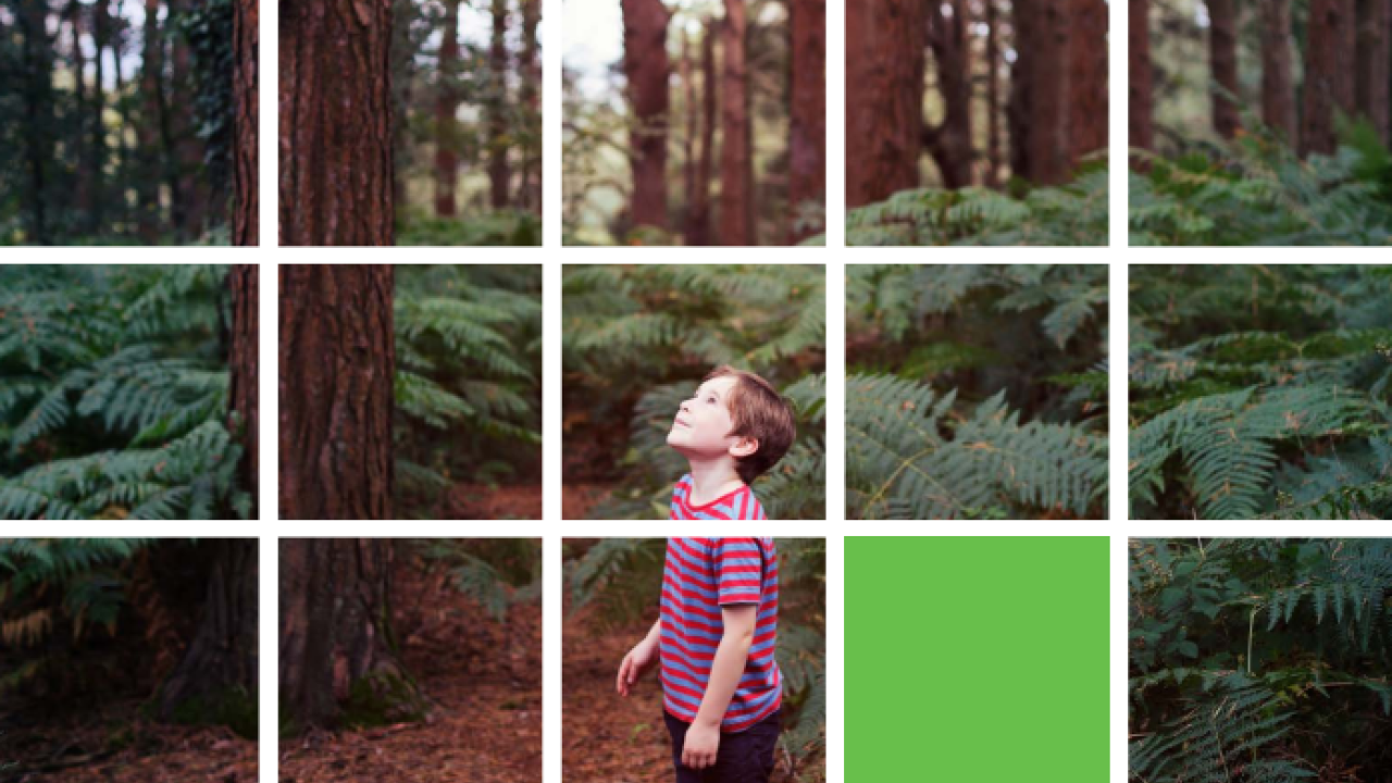 Child in a forest