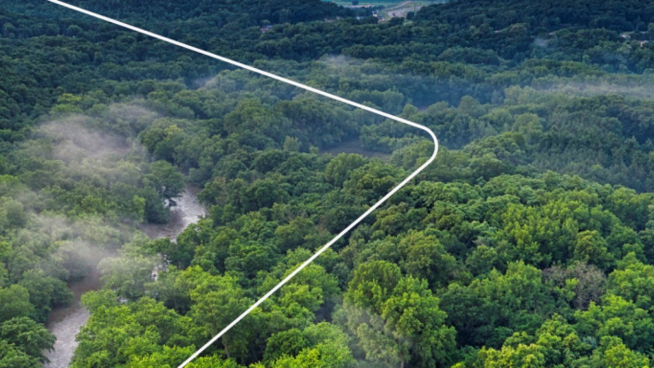 Aerial view of a dense forest with fog interspersed. 