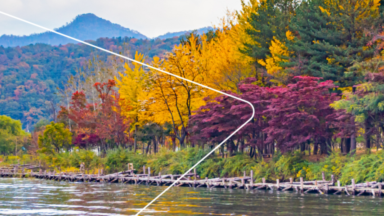 Lush fall landscape of a forested and mountainous area next to a calm river.