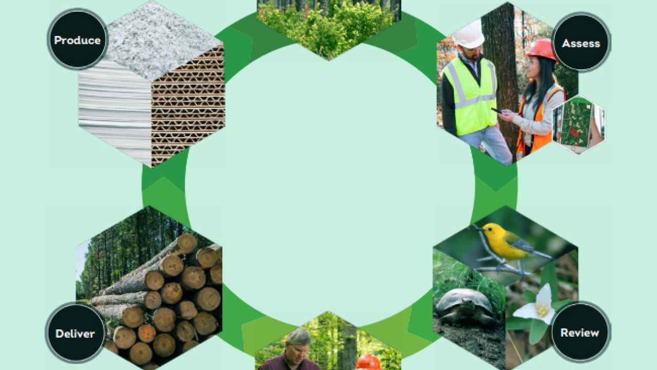 Info graphic circle with different photos for categories: Source, Assess, Review, Plan, Deliver, Produce