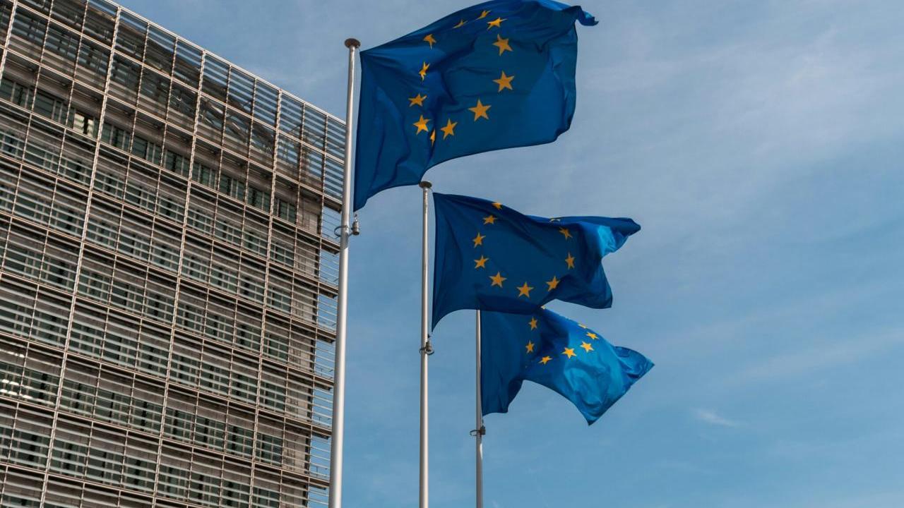 EU flags