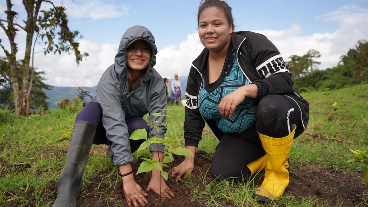 two people planting