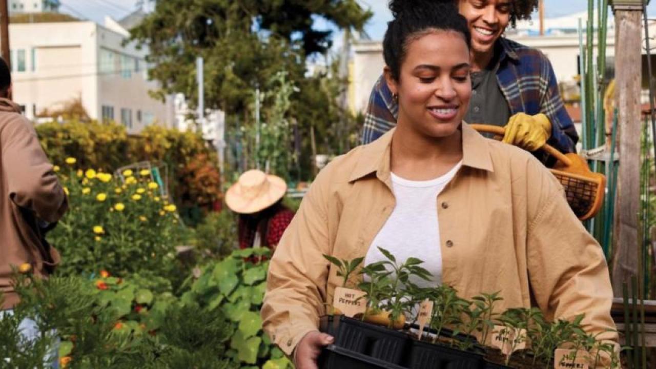 People navigating a garden, one holding a tray of seedlings.