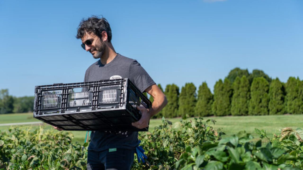 A person holding a black plastic crate in a garden.