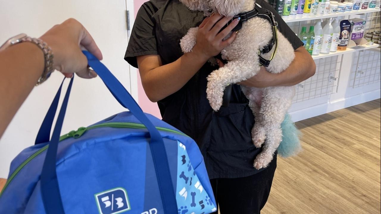 A pet owner holding their dog