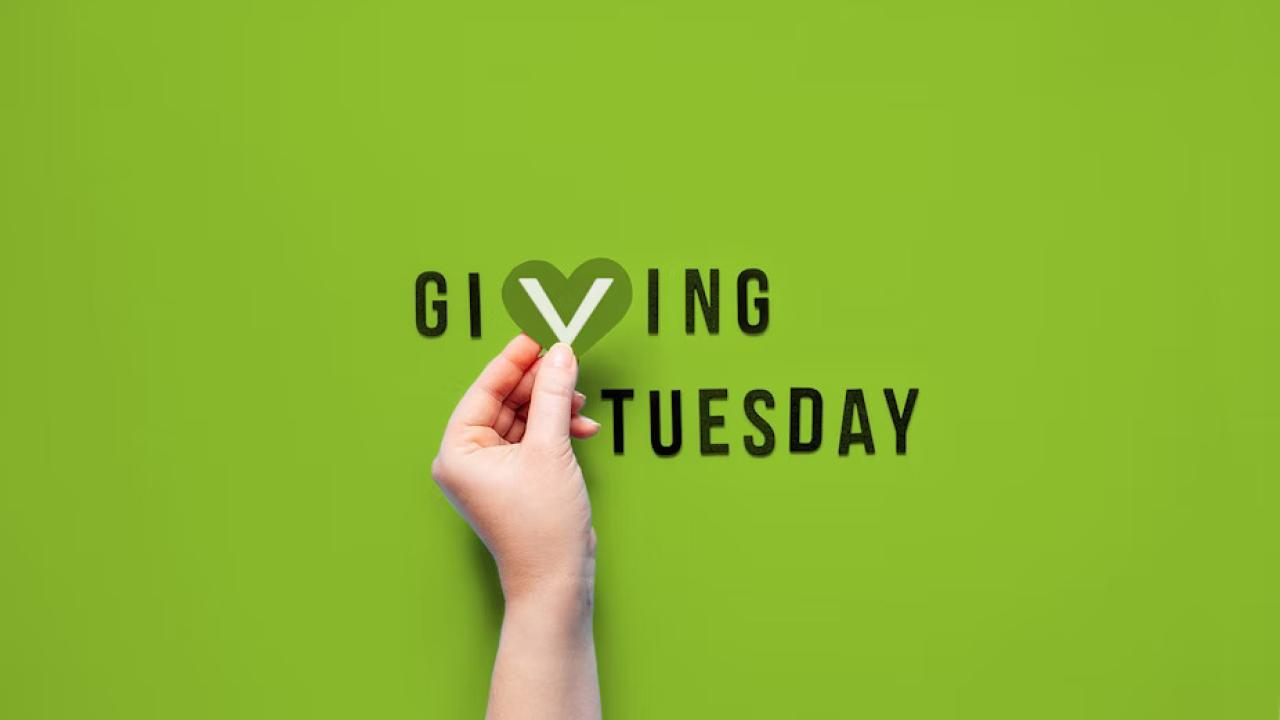 A green background. A hand holding a heart shaped "v" in "Giving Tuesday"