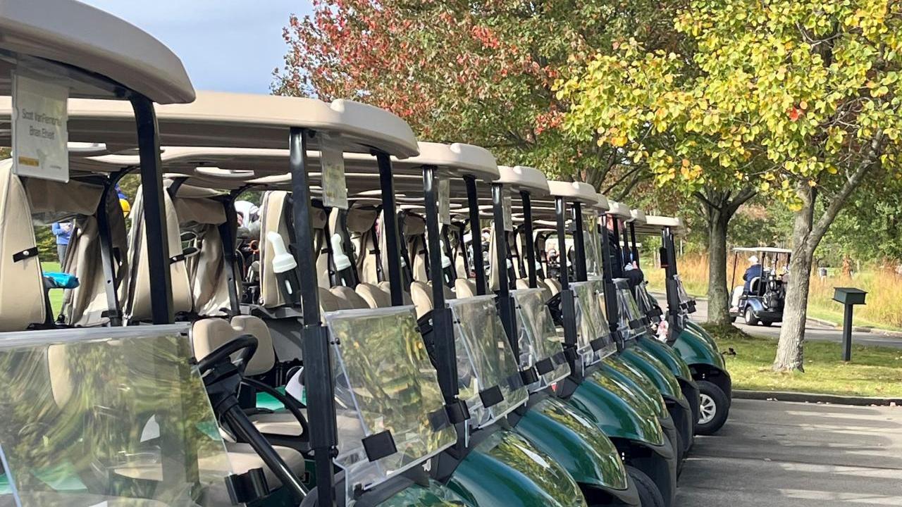 A row of parked green golf carts outside.