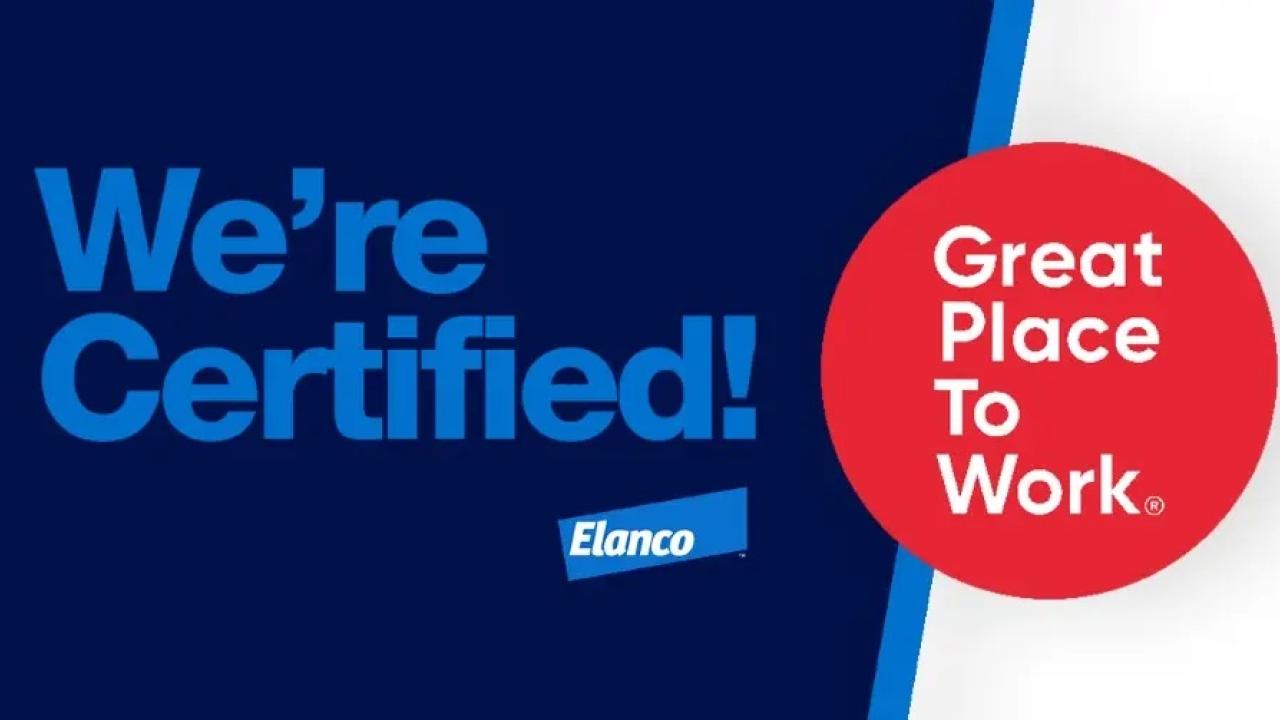 We're Certified! Great Place to Work.