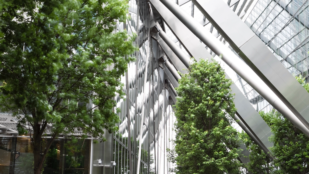 Trees growing inside a building with angular beams.