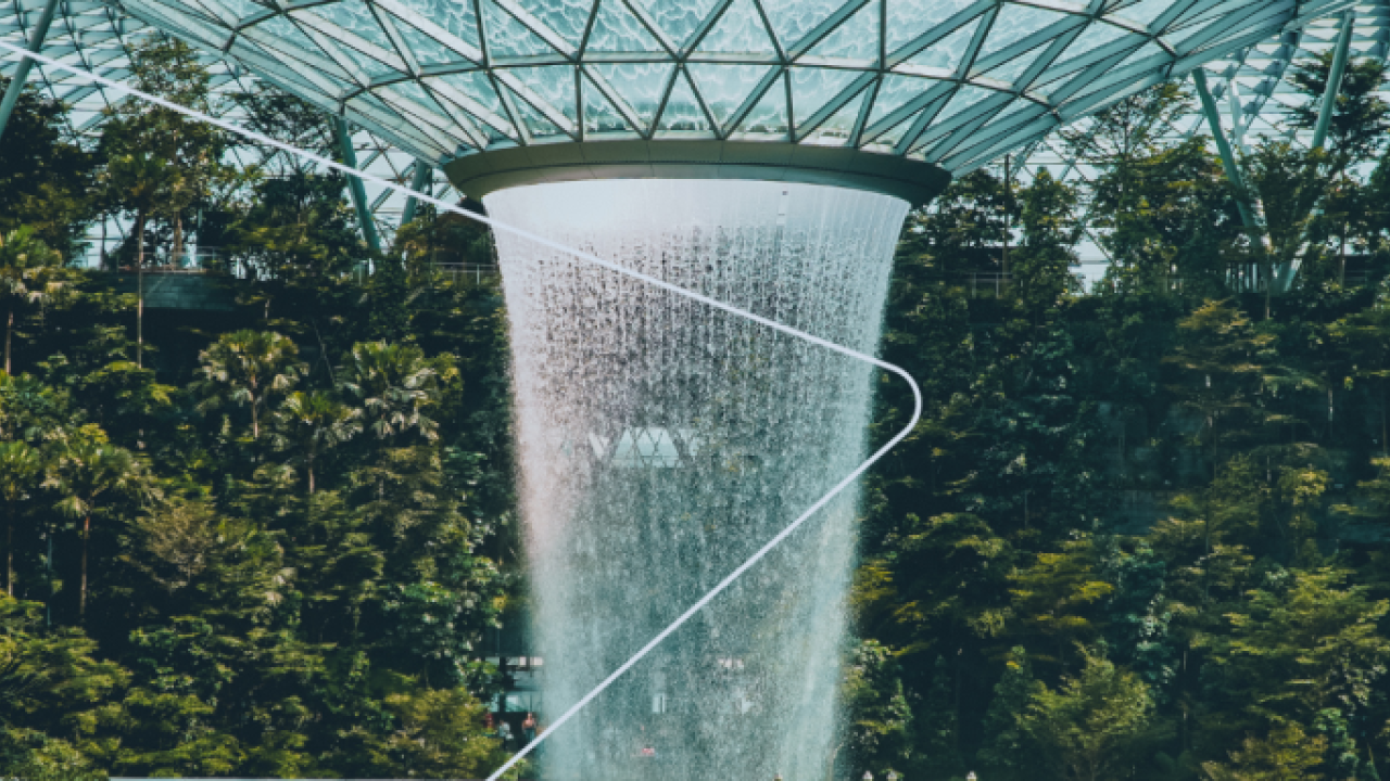 A lush forest inside a glass dome. A shower of water falling in the center.
