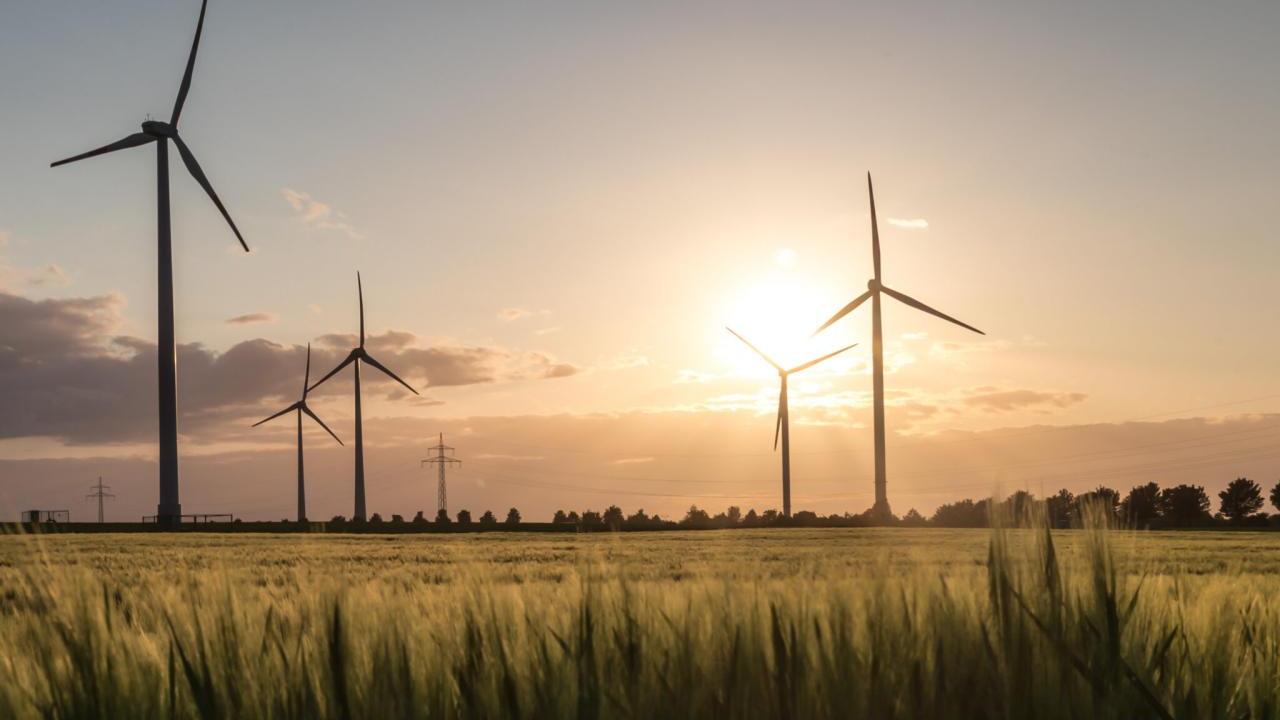 Wind turbines in an open field. A bright sun behind them.