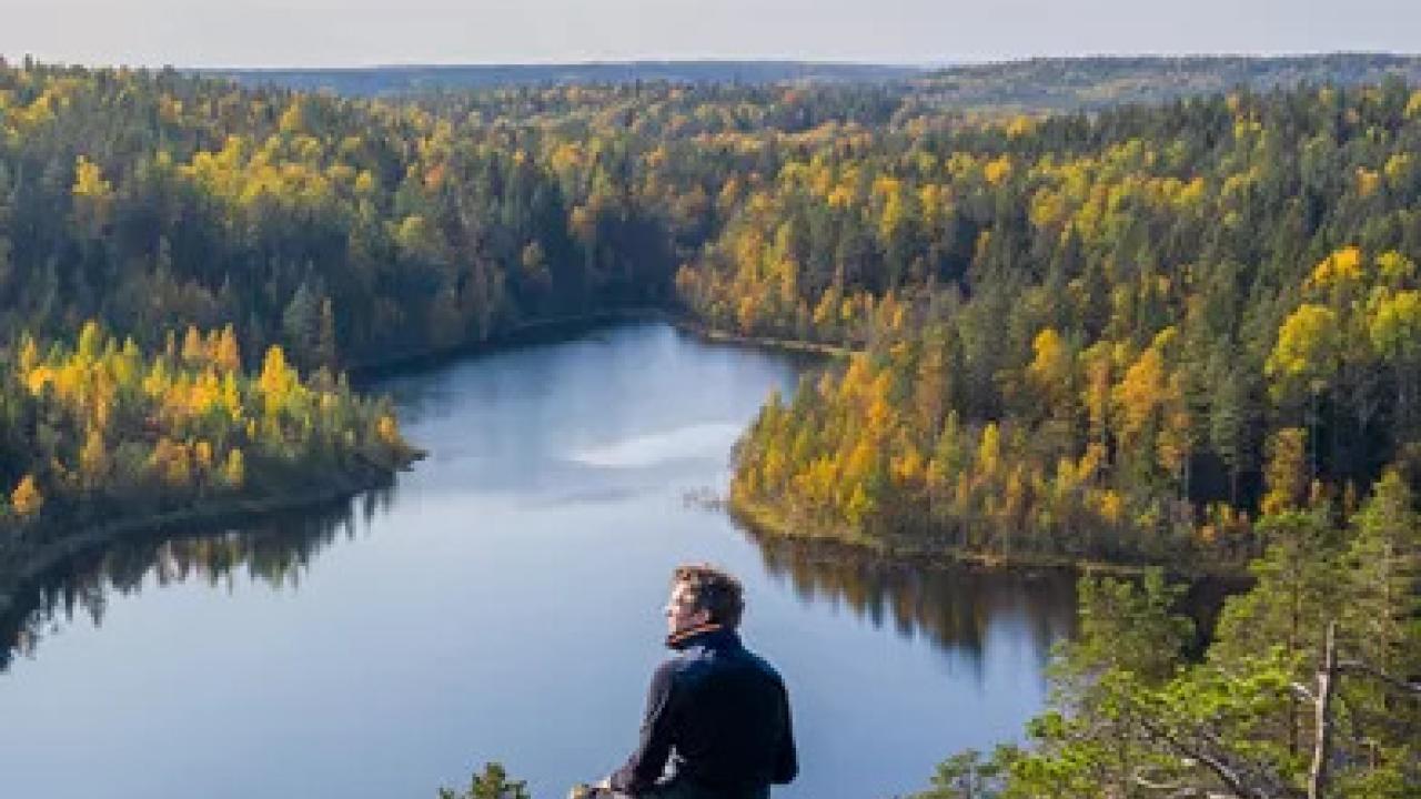 A person sitting on a rock, overlooking a scenic landscape of forest and water.