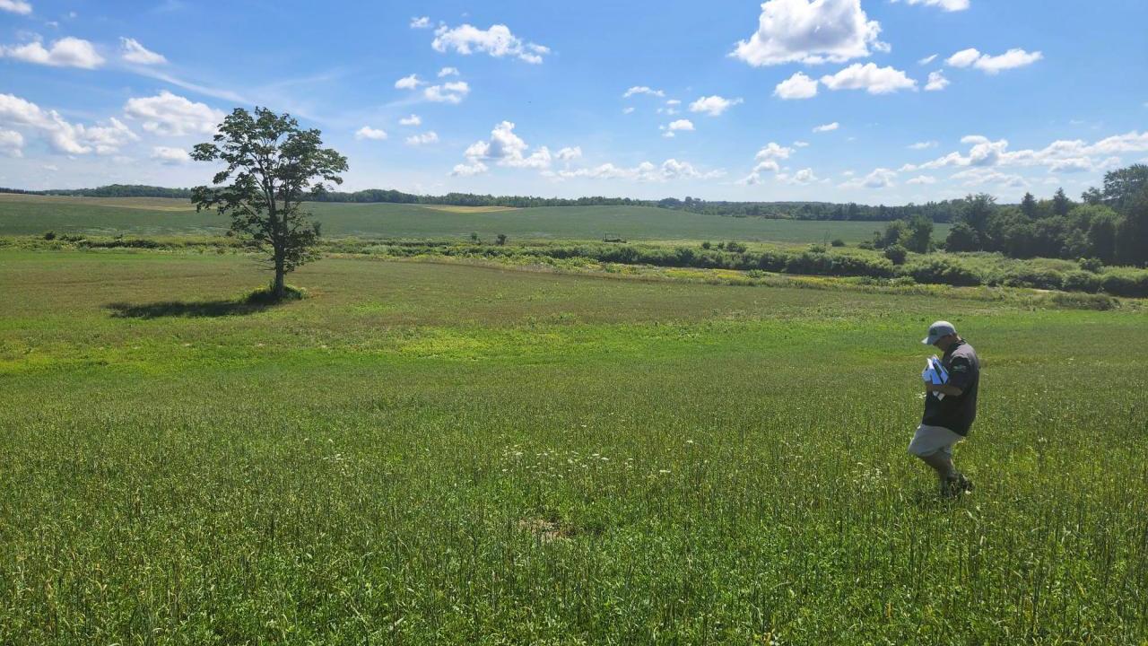 Agricultural landscape in Grey Bruce, Ontario, Canada.