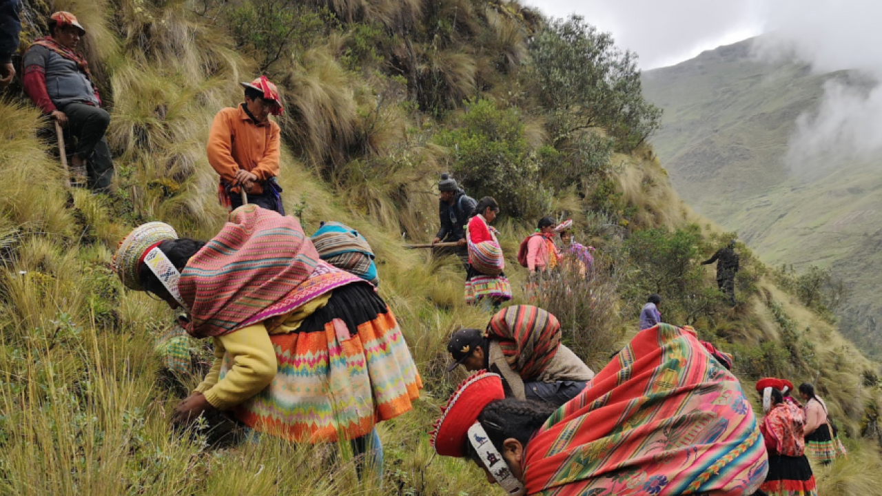 People in bright clothing working on the side of a mountain