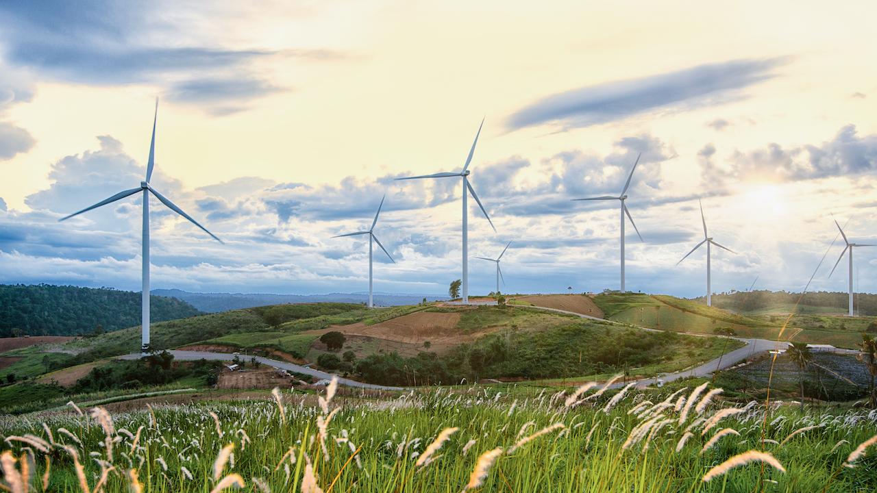 Field with wind turbines