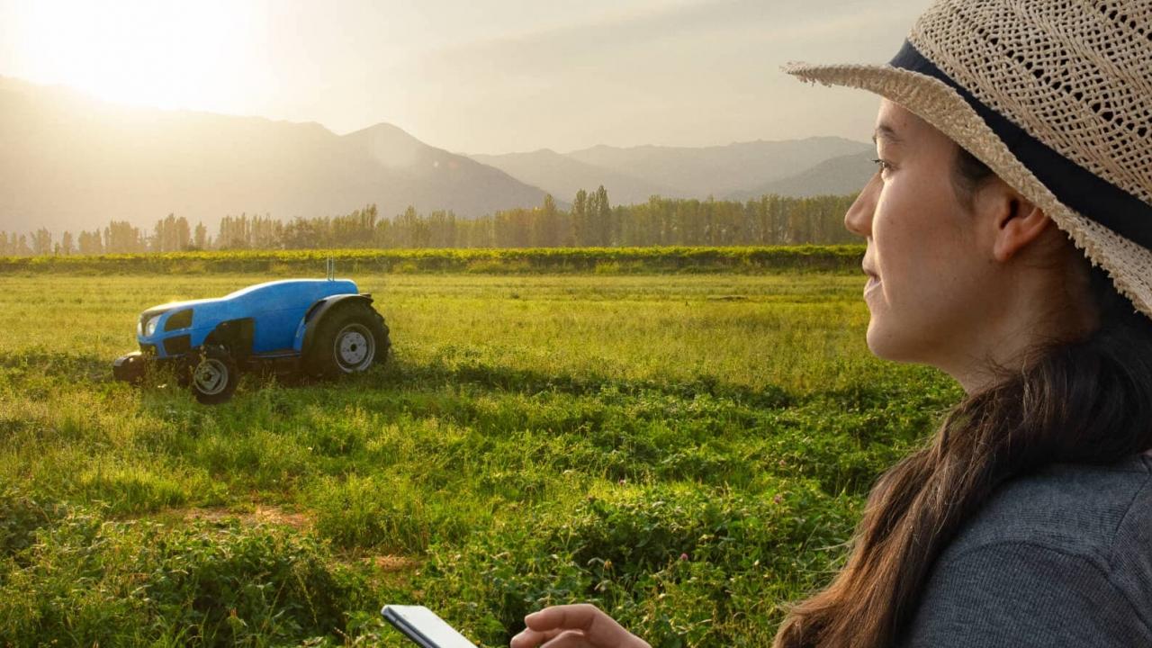 Woman with phone in field