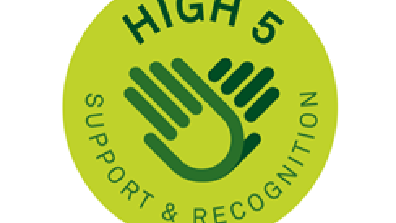 Logo of hands reads: High 5. Support & Recognition