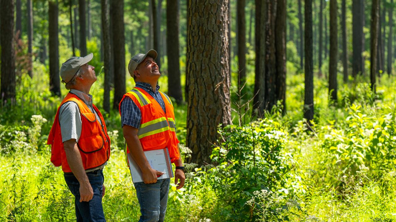 two people standing in a forest
