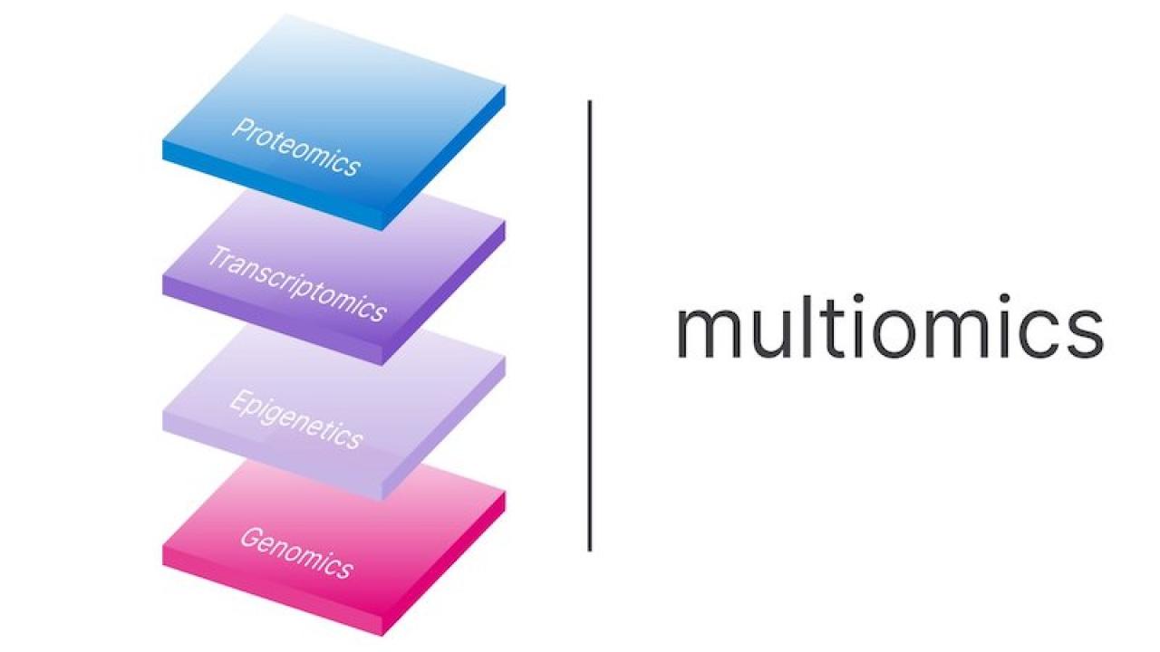 Multiomics: Proteomics, Transcriptomics, Epigenetics & Genomics