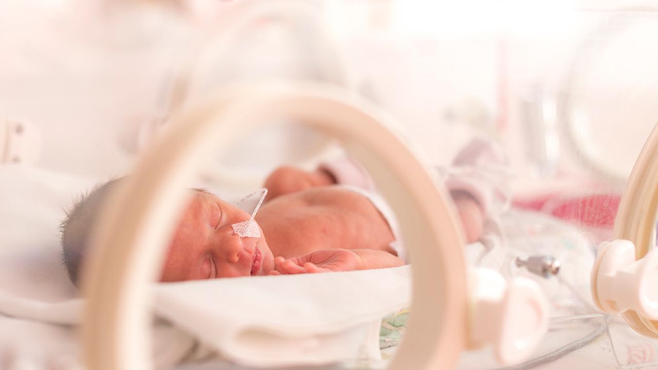 Infant sleeping in NICU.