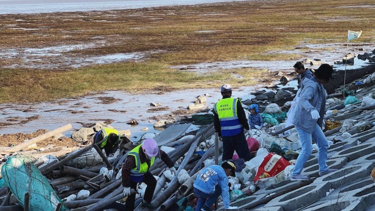 Volunteers in China clean up wetlands.