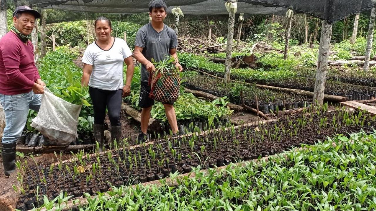 Three people standing between beds of sprouting plants. A black mesh cover over all of them.