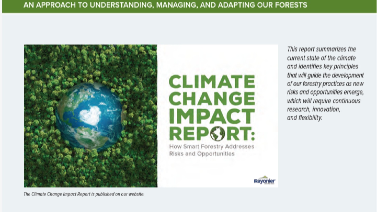 A globe with a white heart in a forested canopy. "Climate Change Impact Report" to the right. This report summarizes the current state of the climate and identifies key principles that will guide the development of our forestry practices as new risks and opportunities emerge, which will require continuous research, innovation, and flexibility.