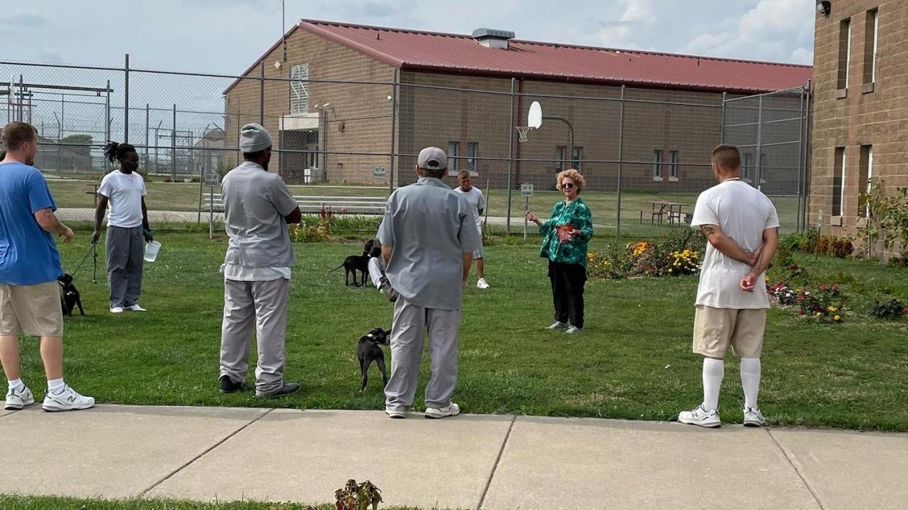 incarcerated people with puppies