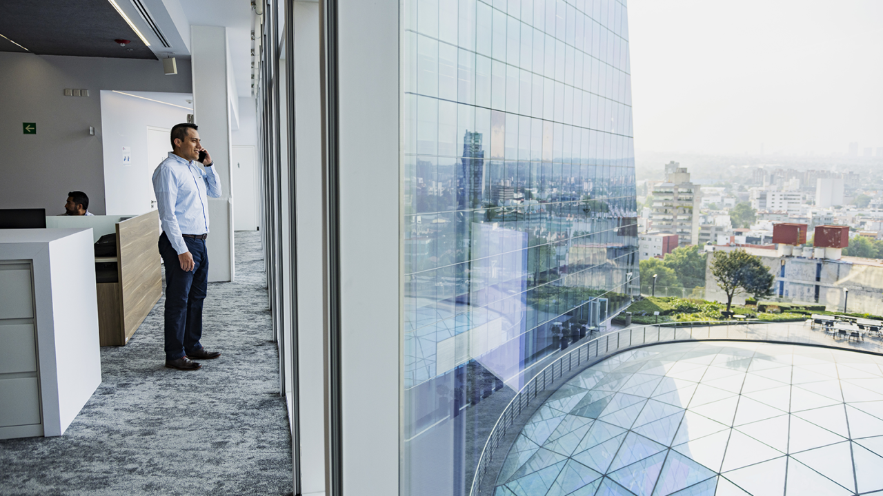 Someone in an office on a cellphone, looking out a window
