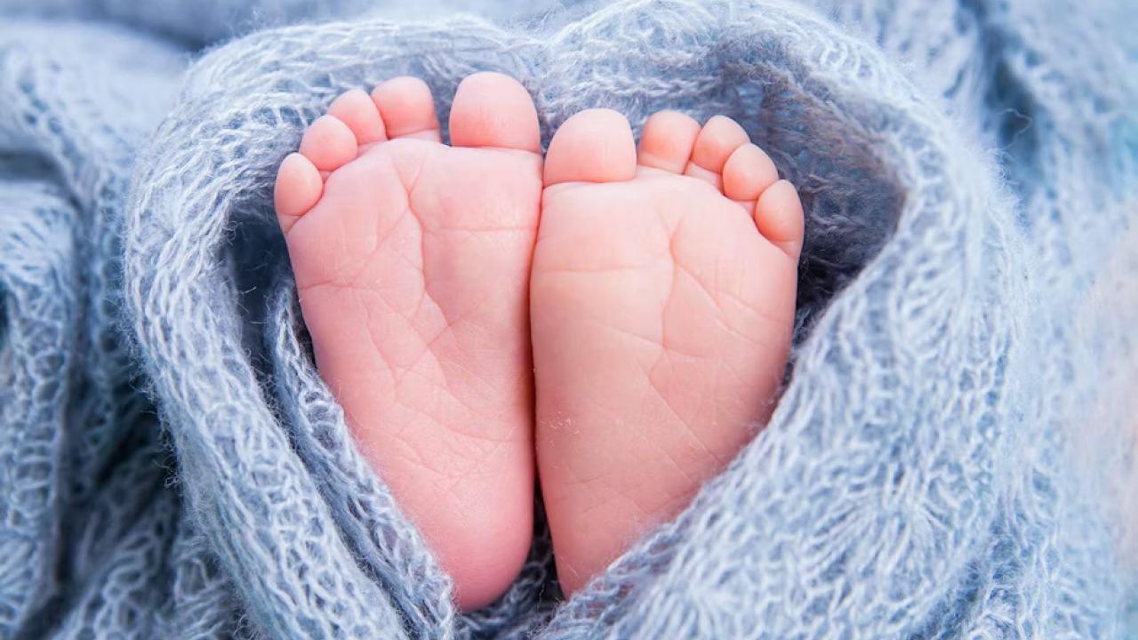 Two baby feet wrapped in a blue blanket.