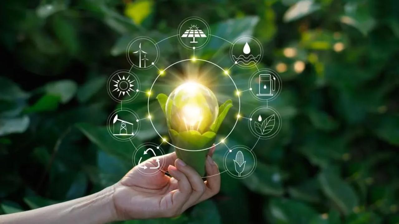 image of person holding a light with different aspects of sustainability revolving around it.
