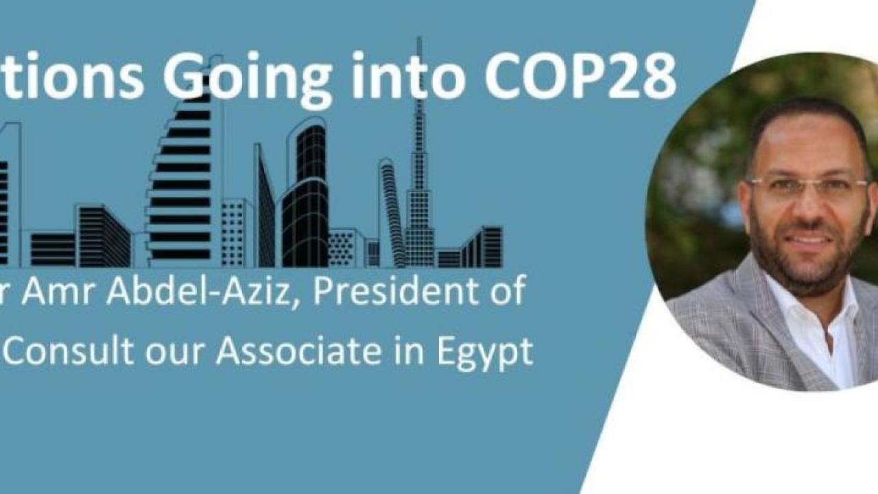 Dr Amr Abdel-Aziz, Chairman of Cairo-based Integral Consul