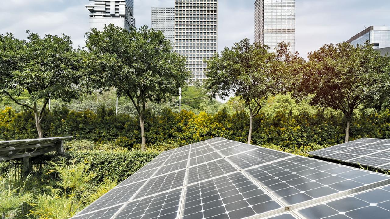 Solar farm with trees and buildings in the distance 