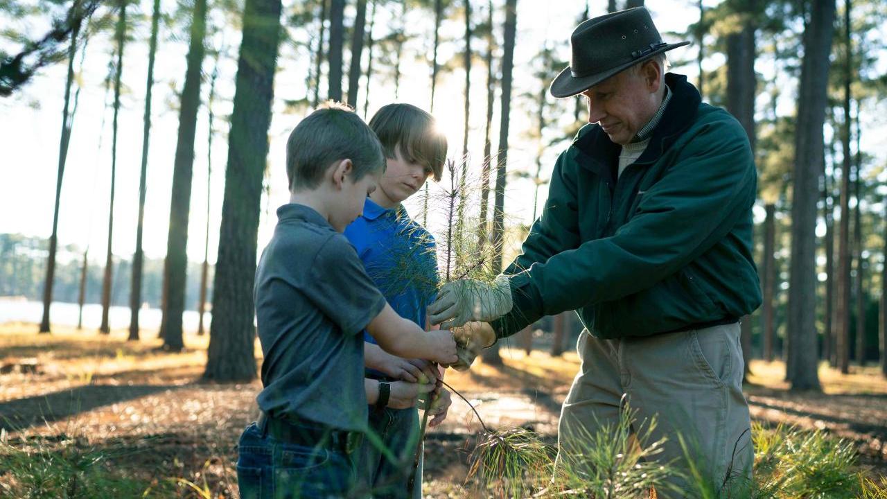 An adult and 2 children hold a tree branch together
