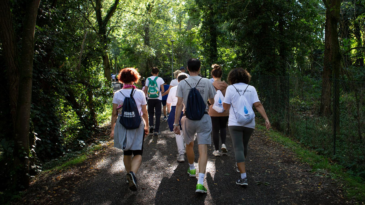People walking in the woods